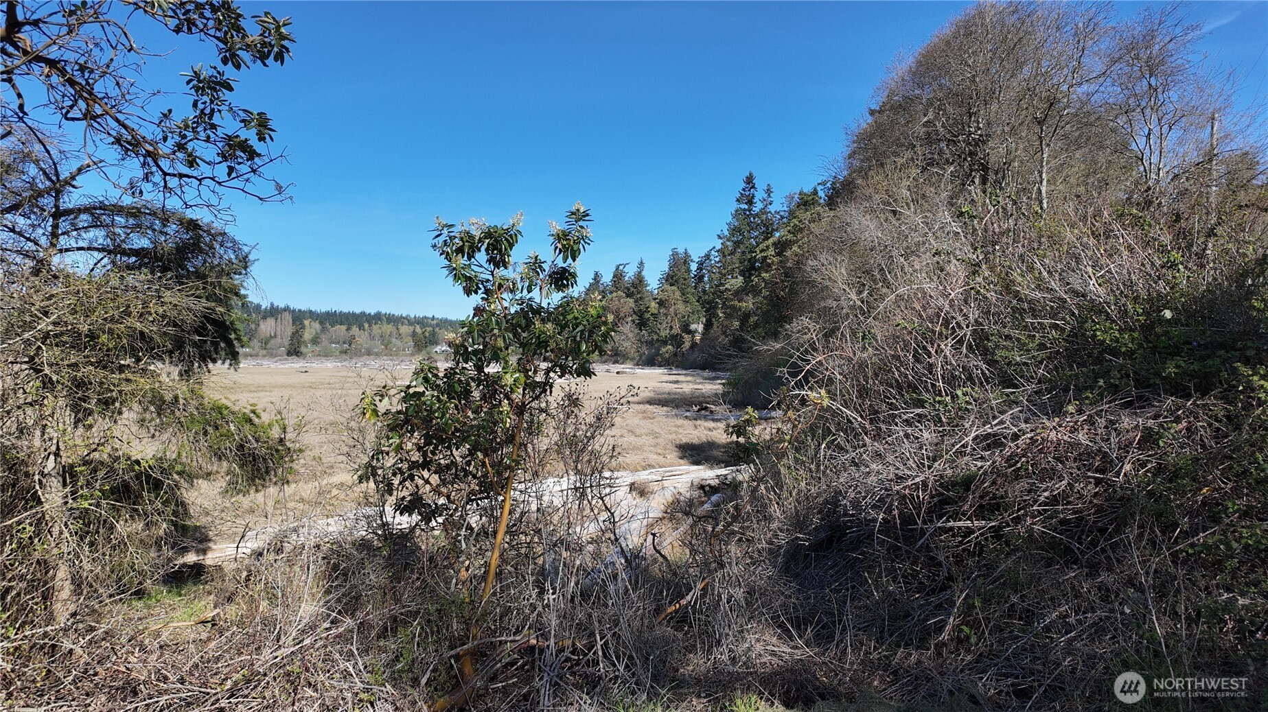 0 Wagner Road Camano Island, WA 98282 - Photo 17 of 27 a view of a lake with a building in the background