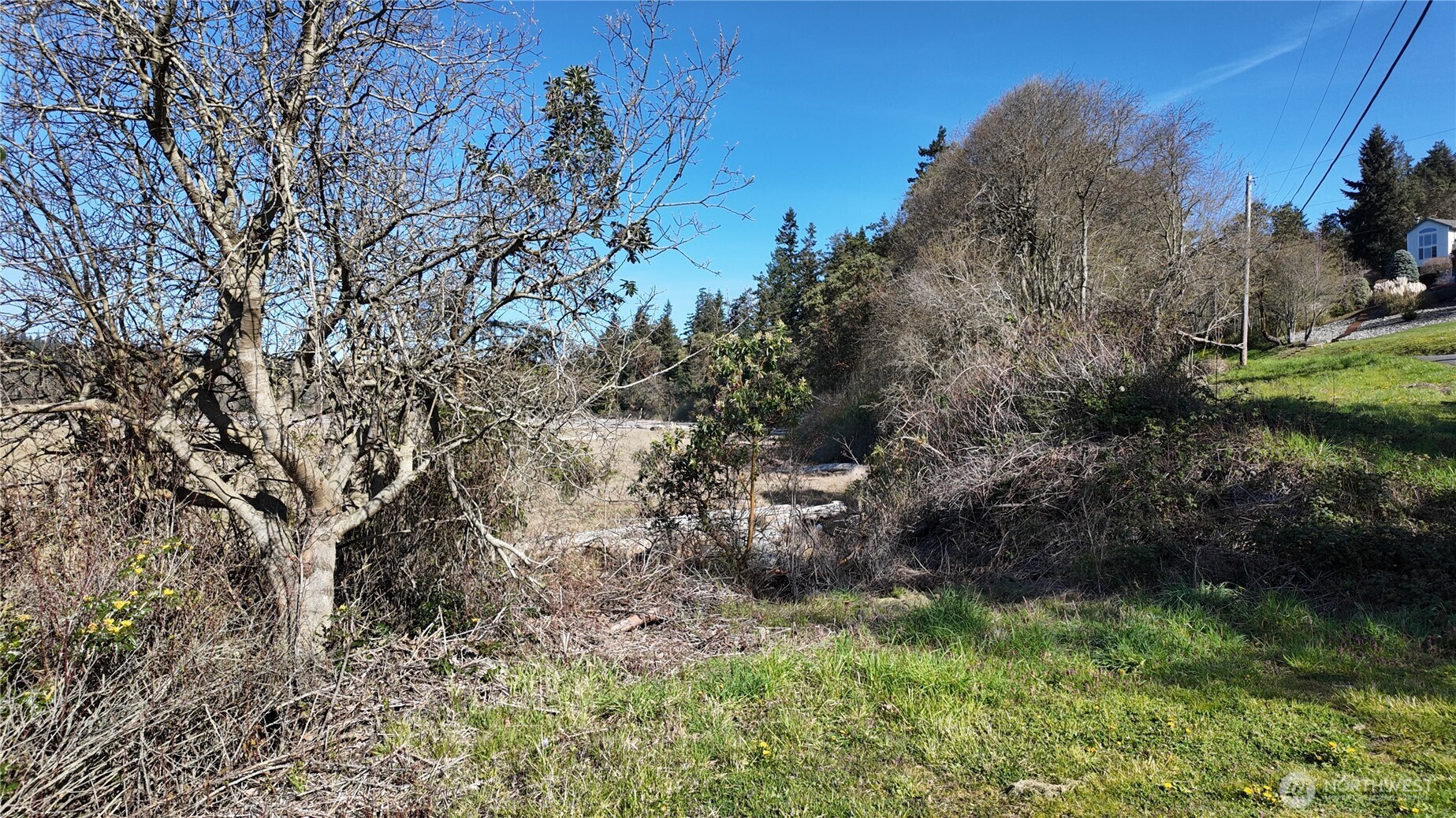 0 Wagner Road Camano Island, WA 98282 - Photo 18 of 27 a backyard of a house with lots of green space