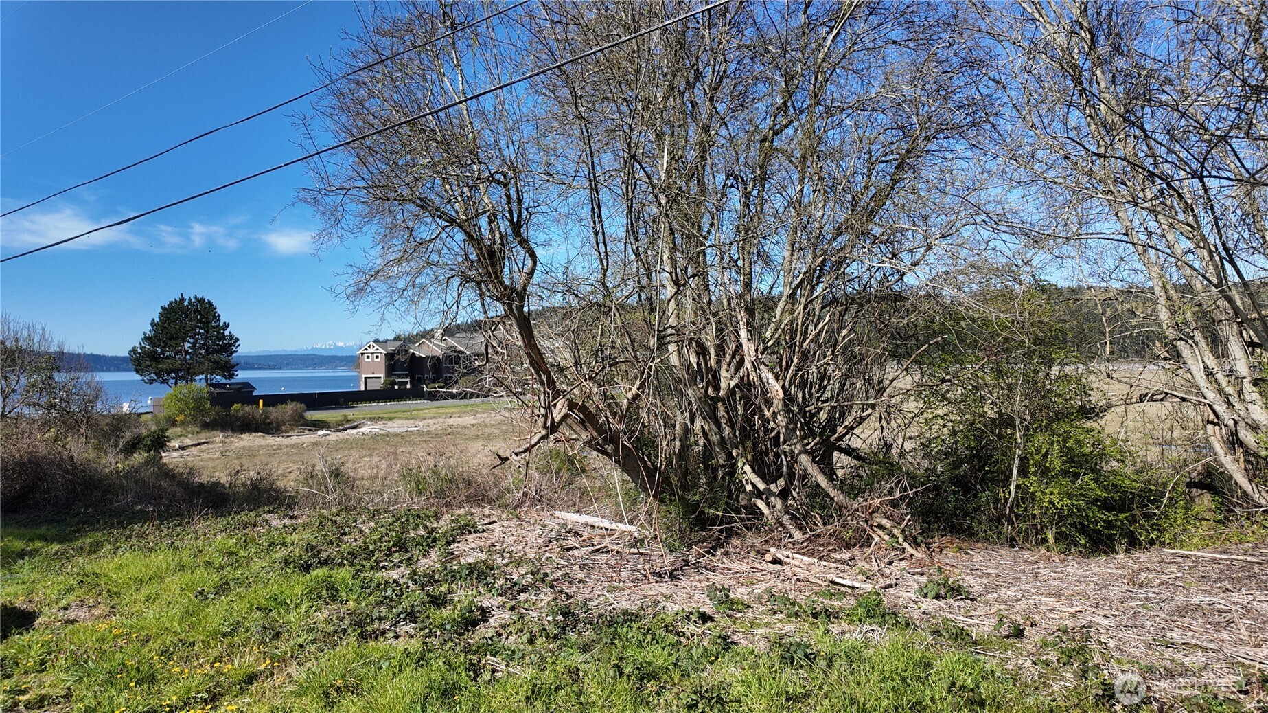 0 Wagner Road Camano Island, WA 98282 - Photo 20 of 27 a backyard of a house with lots of green space