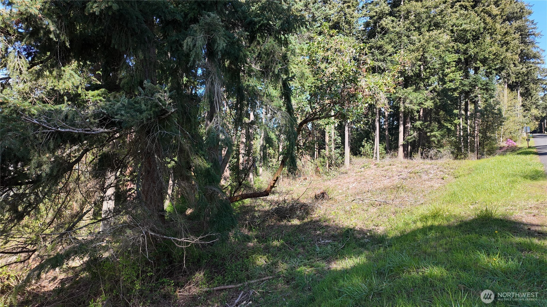0 Wagner Road Camano Island, WA 98282 - Photo 21 of 27 a view of water yard with a tree