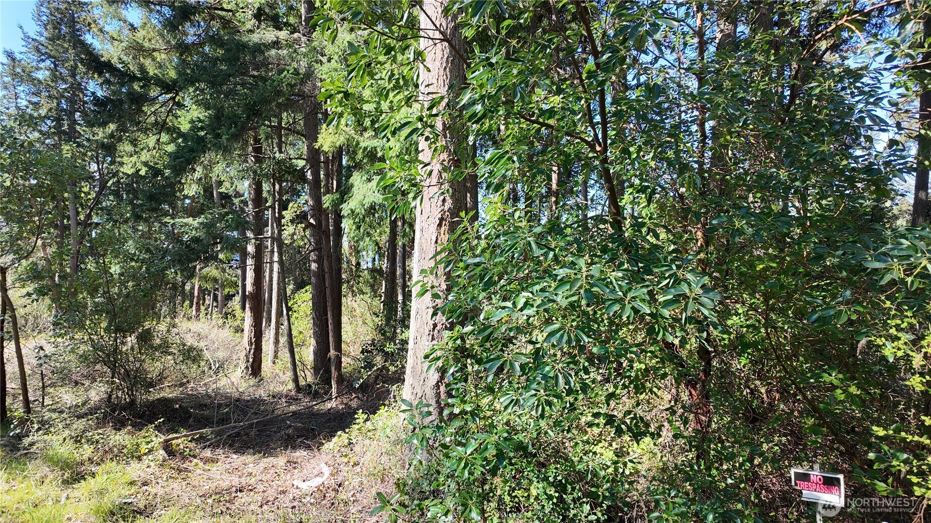 0 Wagner Road Camano Island, WA 98282 - Photo 22 of 27 a backyard of a house with lots of green space
