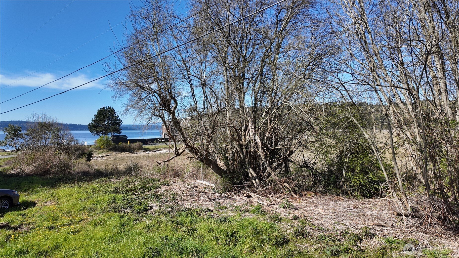 0 Wagner Road Camano Island, WA 98282 - Photo 26 of 27 a street view with large trees