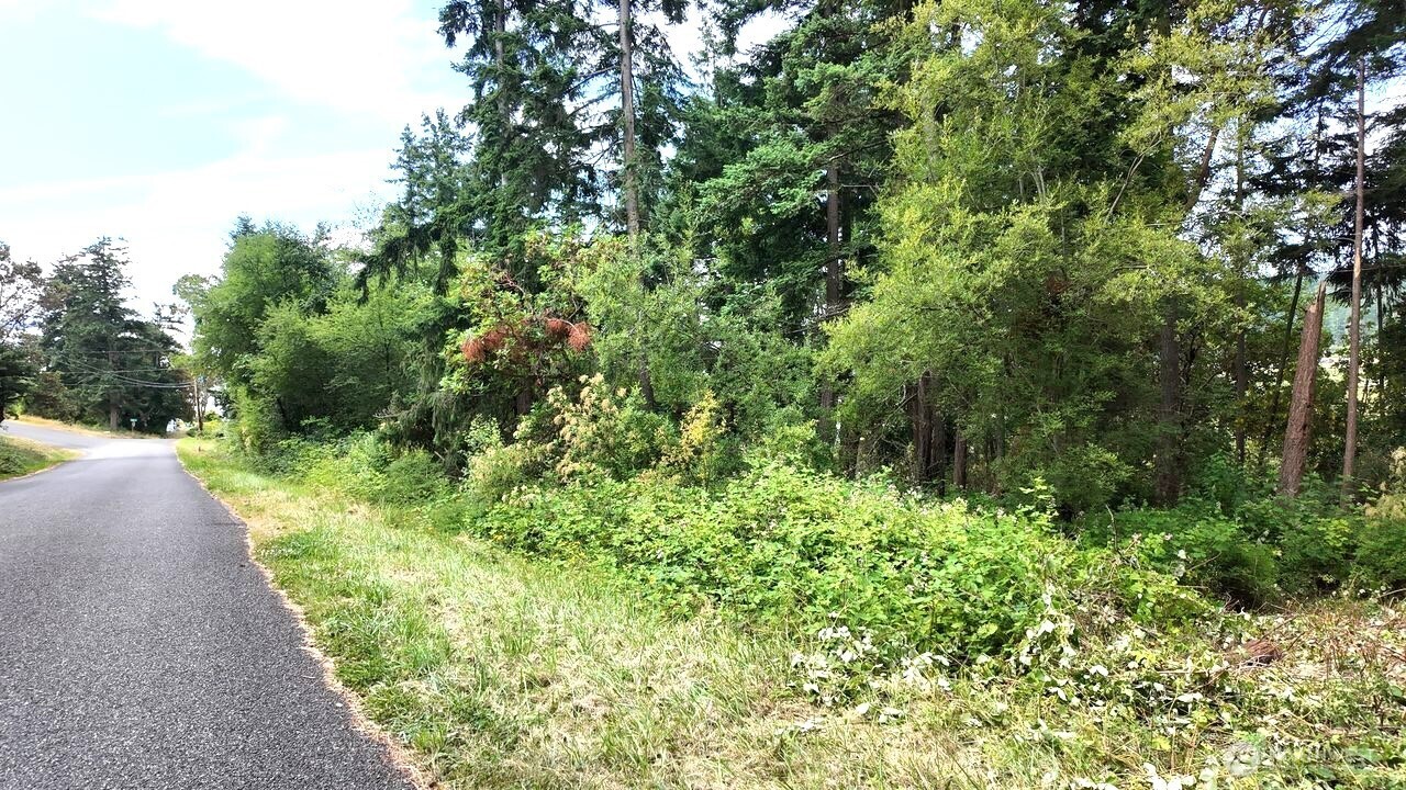 0 Wagner Road Camano Island, WA 98282 - Photo 4 of 27 a view of a garden