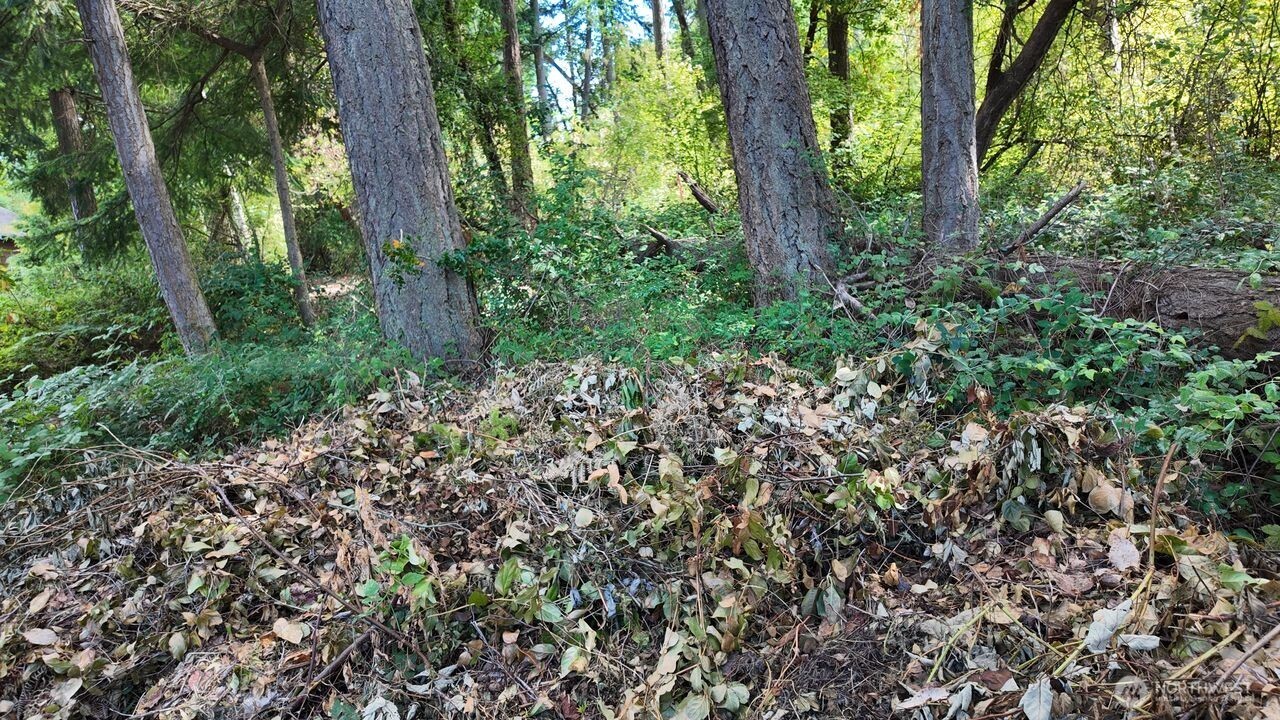 0 Wagner Road Camano Island, WA 98282 - Photo 5 of 27 a view of a garden with plants and trees