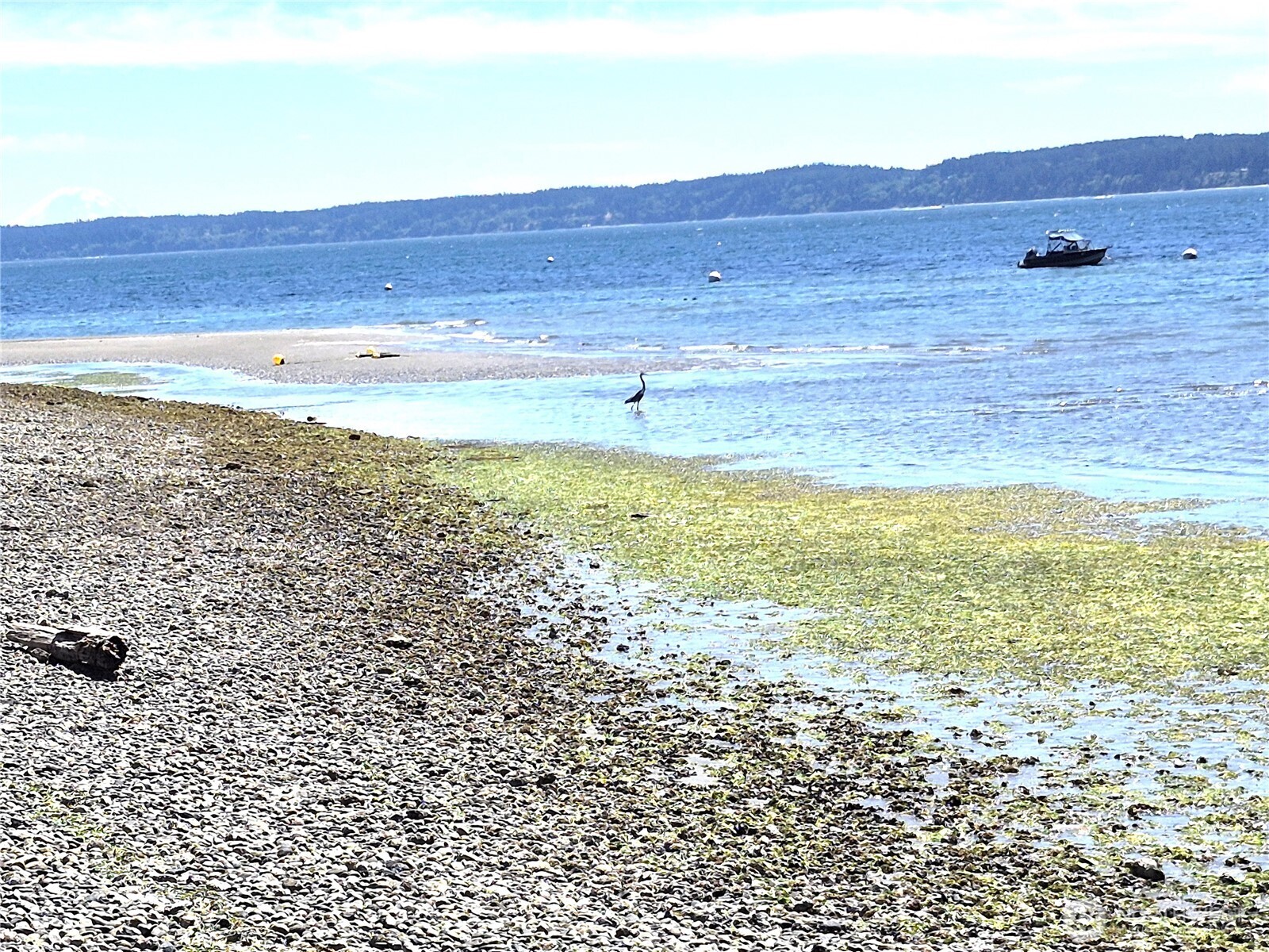 0 Wagner Road Camano Island, WA 98282 - Photo 6 of 27 a view of ocean and a mountain