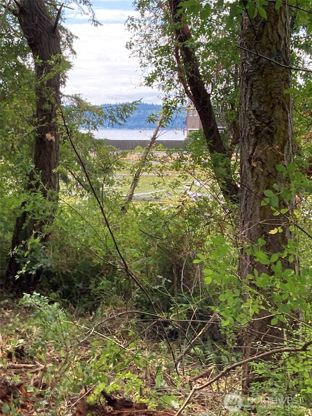 0 Wagner Road Camano Island, WA 98282 - Photo 9 of 27 a view of a yard with large trees