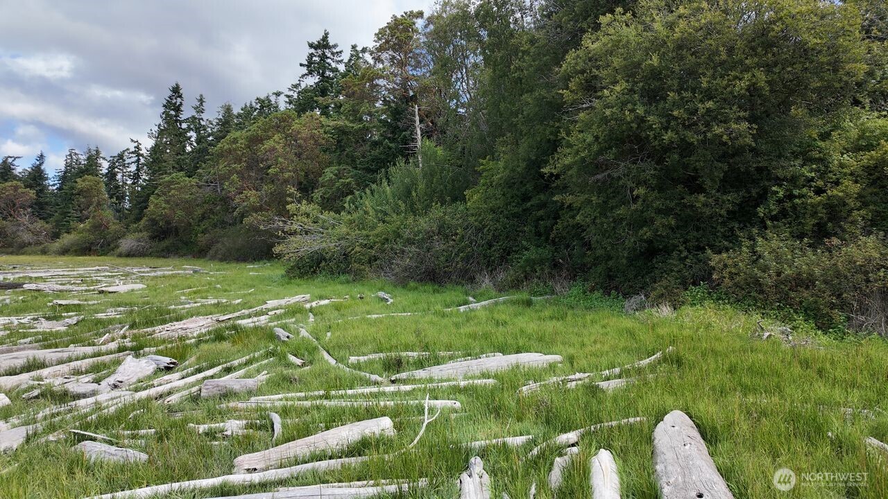 0 Wagner Road Camano Island, WA 98282 - Photo 10 of 27 a view of a golf course with a yard