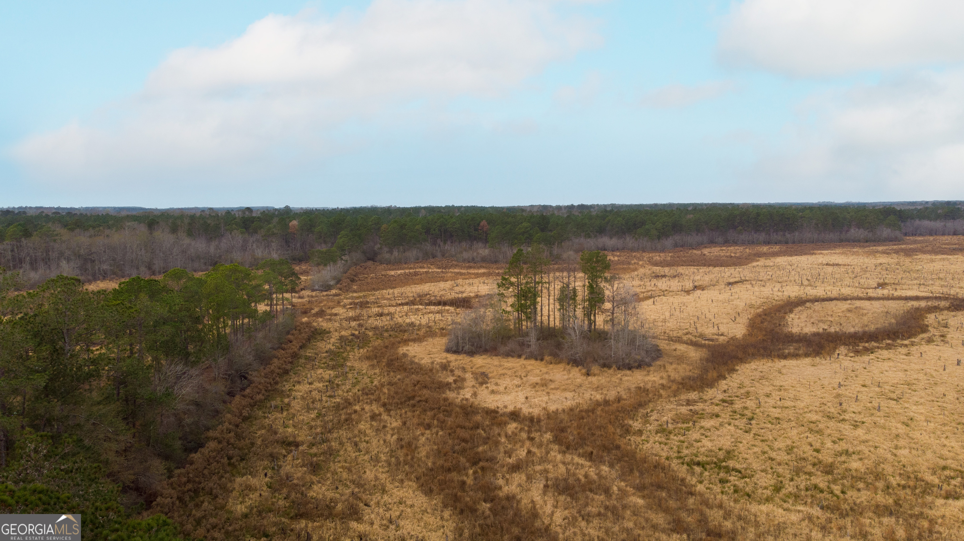 418 Oglesby Pond Road Portal, GA 30450 - Photo 18 of 56 a view of ocean view with beach