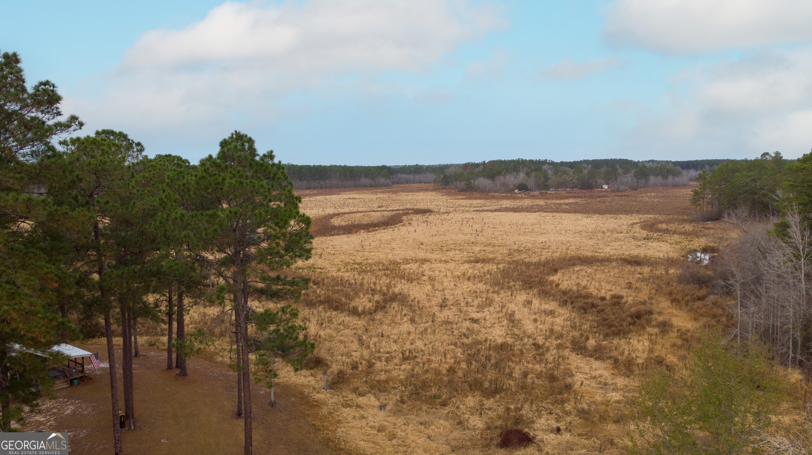 418 Oglesby Pond Road Portal, GA 30450 - Photo 48 of 56