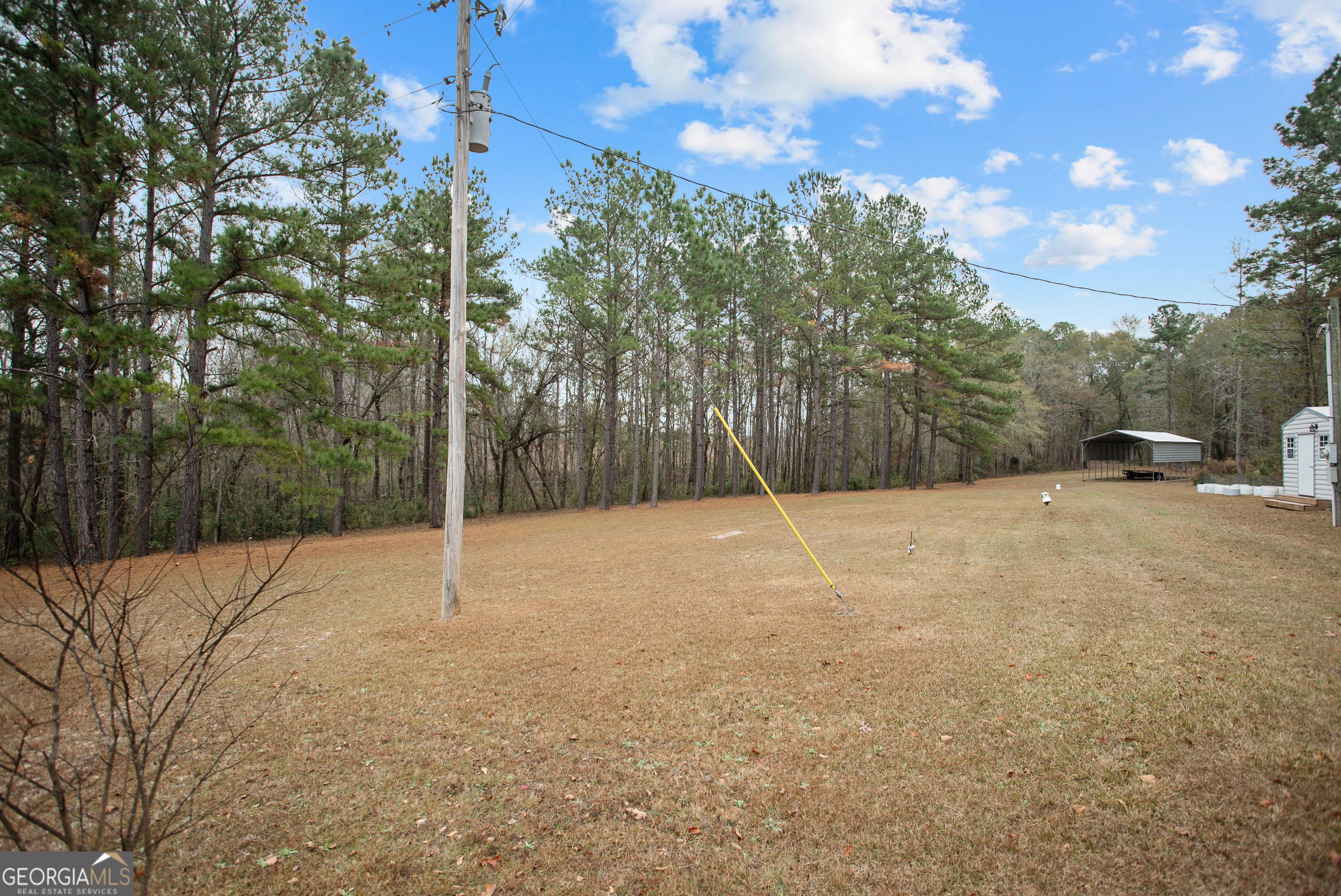 418 Oglesby Pond Road Portal, GA 30450 - Photo 56 of 56 a view of a yard with a tree