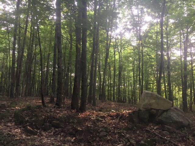 0 Oak Hill Road Kents Hill, ME 04349 - Photo 3 of 10 Photo