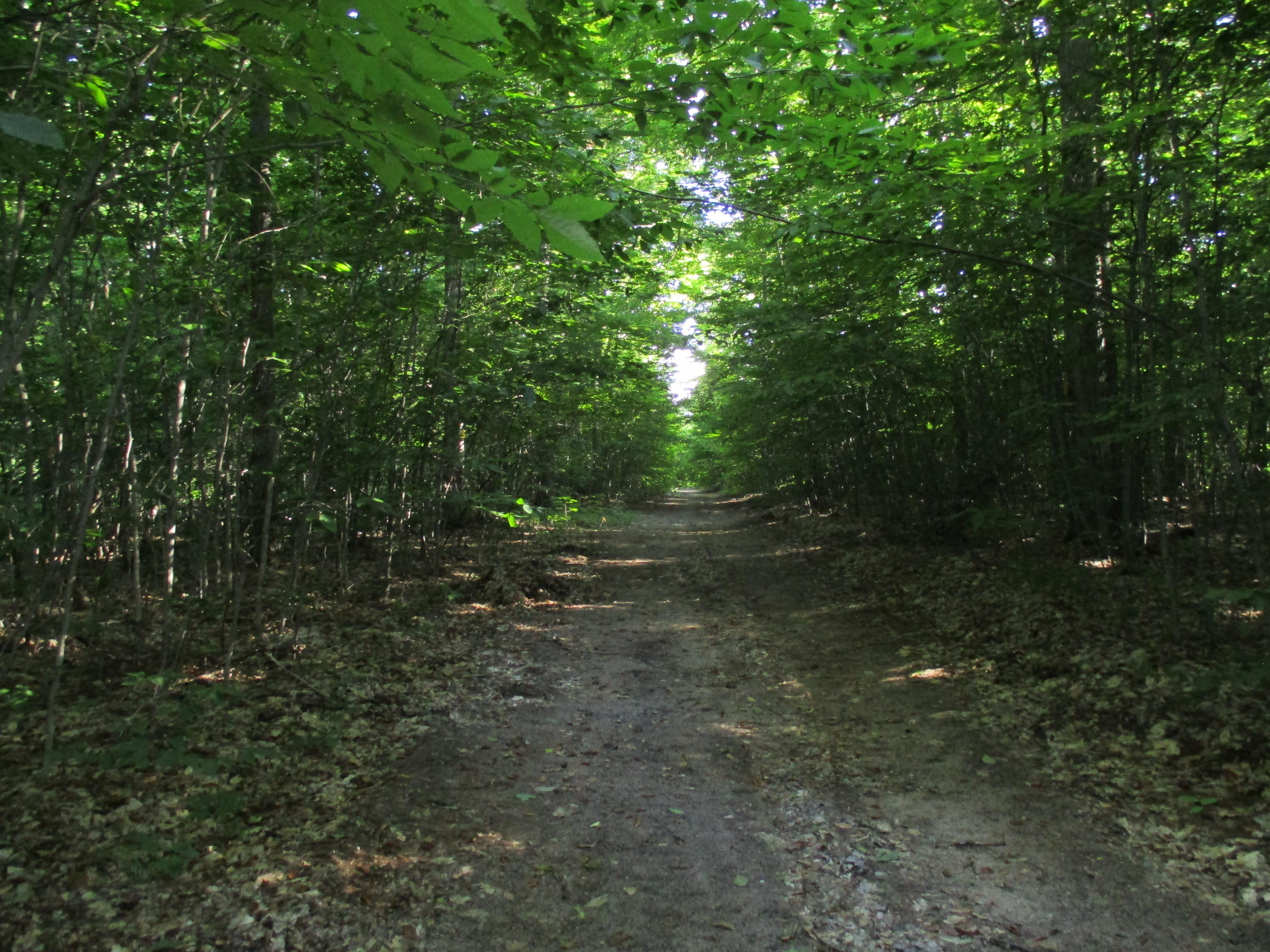 Emerson Road Frederic, MI 49733 - Photo 1 of 8 Gallery Image 1