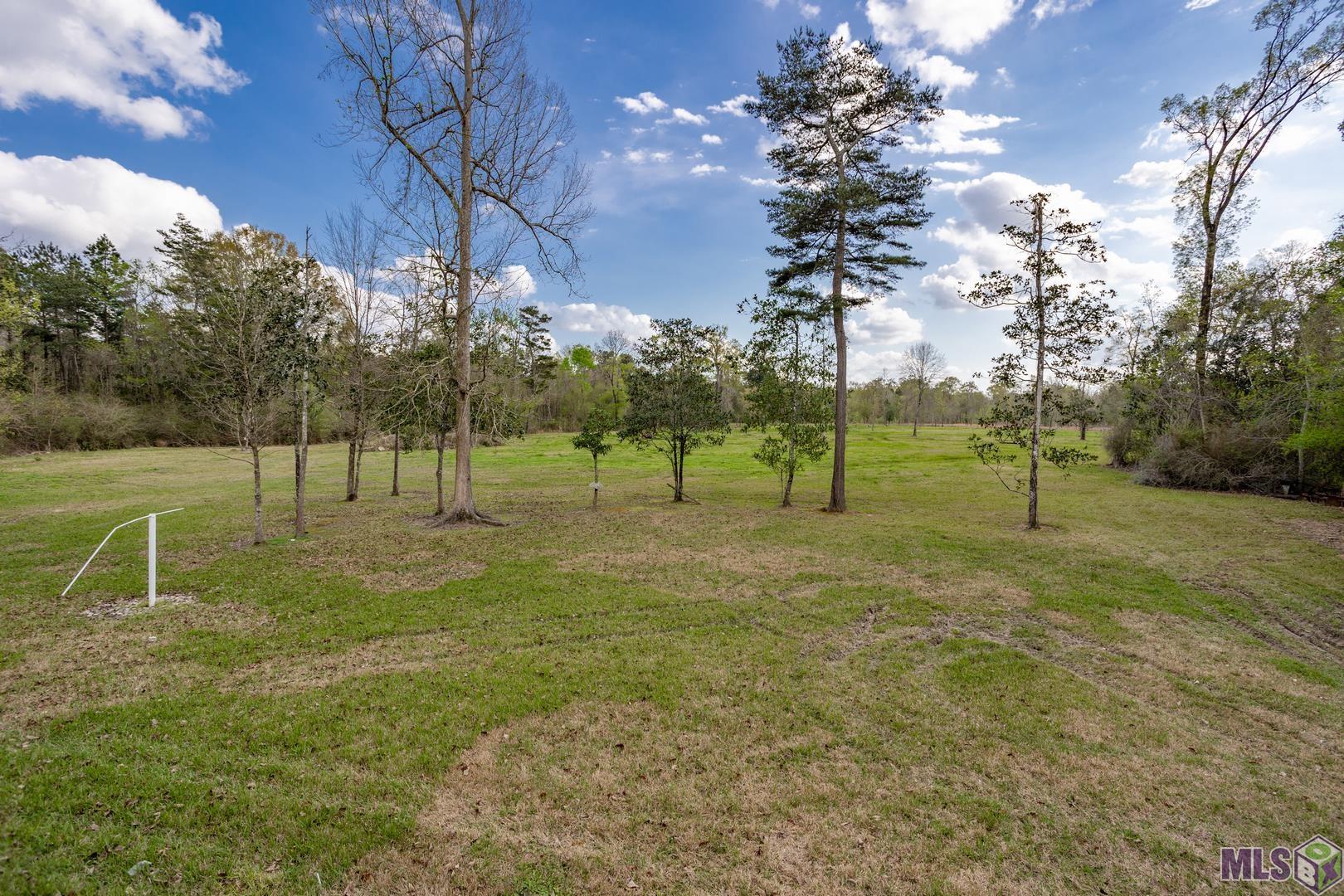 25566 Kendalwood Road Baton Rouge, LA 70817 - Photo 8 of 21