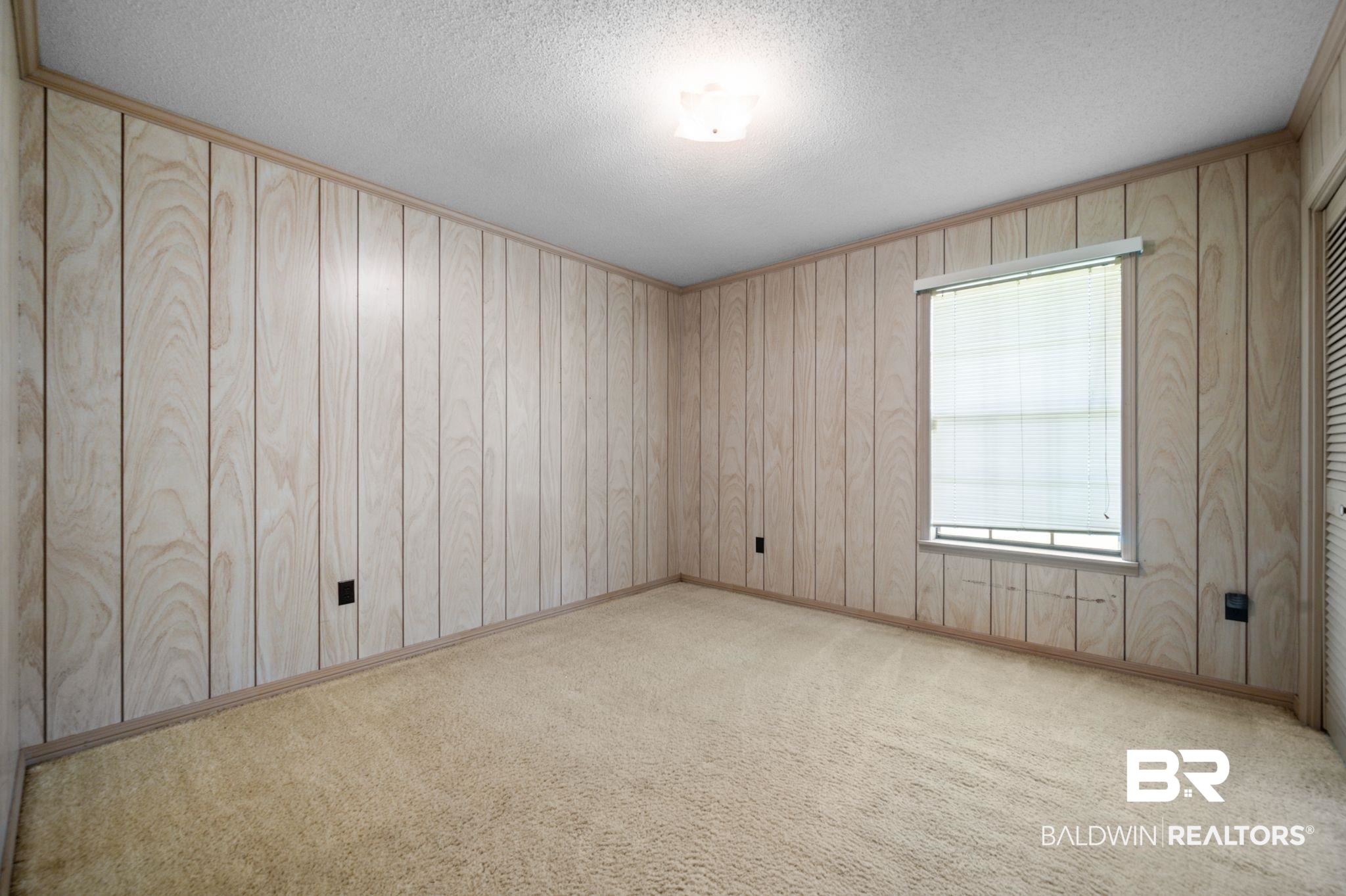 15880 Pine Grove Rd Extension West Bay Minette, AL 36507 - Photo 29 of 44 Empty room with wooden walls, carpet floors, and a textured ceiling
