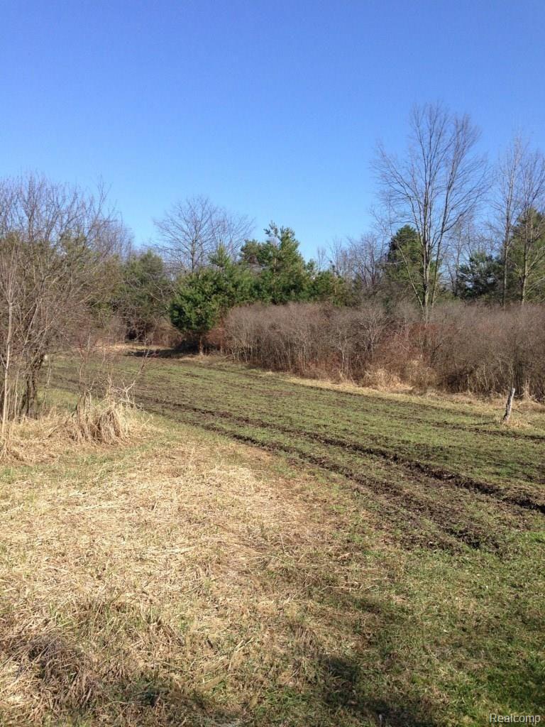 4124 North Henderson Road Davison, MI 48423 - Photo 24 of 25 Open field to feed the deer