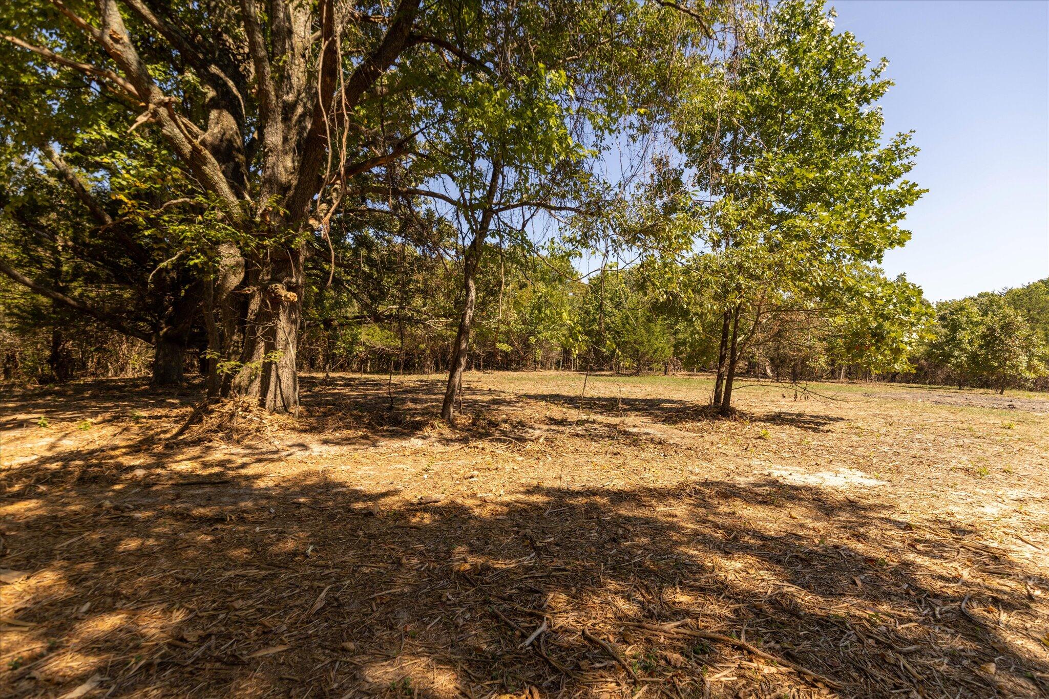 0 Watts Road Rogersville, MO 65742 - Photo 42 of 51 42-HT9A5671