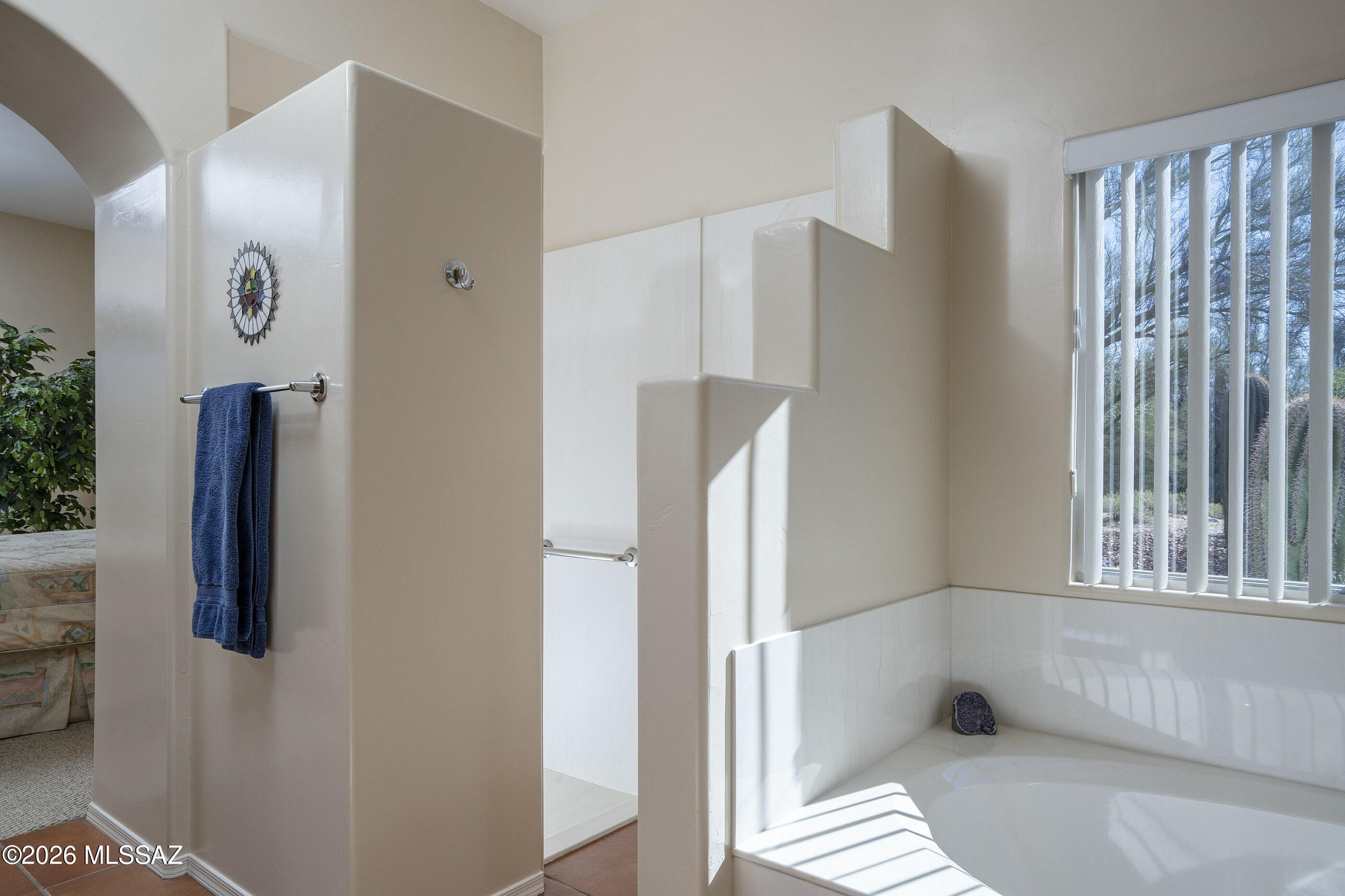 715 West Panorama Road Tucson, AZ 85704 - Photo 22 of 34 Primary Bath