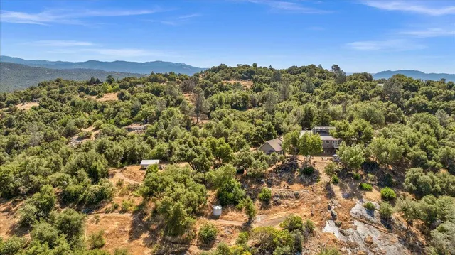a living room with furniture or couch and a fireplace