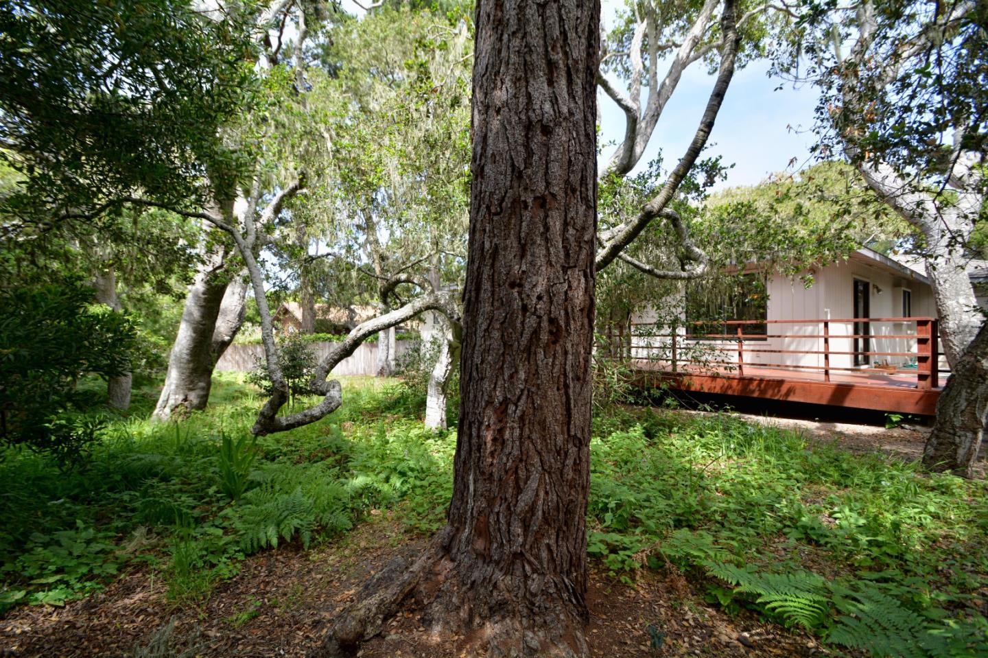 1080 Sawmill Gulch Road Pebble Beach, CA 93953 - Photo 20 of 24 Gallery Image 20
