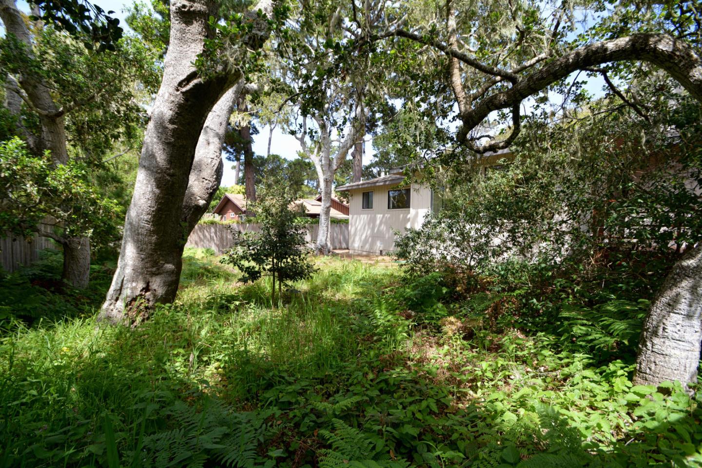 1080 Sawmill Gulch Road Pebble Beach, CA 93953 - Photo 21 of 24 Gallery Image 21