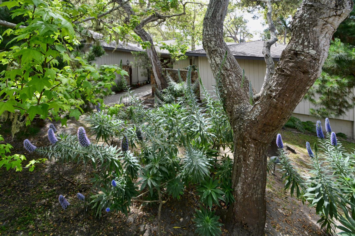 1080 Sawmill Gulch Road Pebble Beach, CA 93953 - Photo 23 of 24 Gallery Image 23
