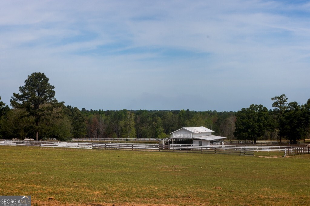 5391 Big Pine Road Garfield, GA 30425 - Photo 19 of 74