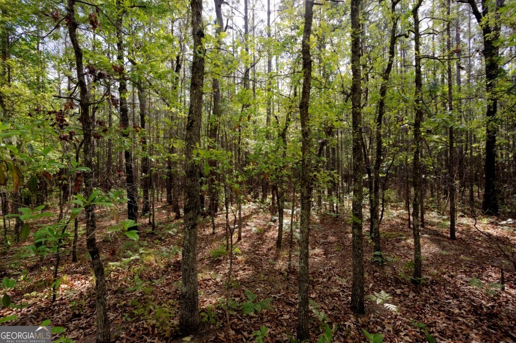 5391 Big Pine Road Garfield, GA 30425 - Photo 42 of 74