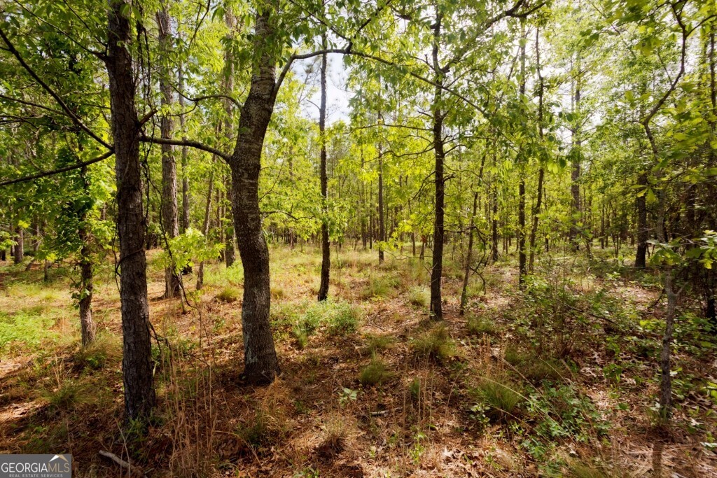 5391 Big Pine Road Garfield, GA 30425 - Photo 44 of 74