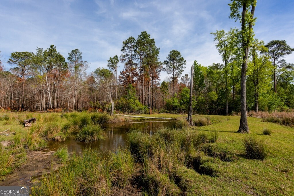 5391 Big Pine Road Garfield, GA 30425 - Photo 45 of 74