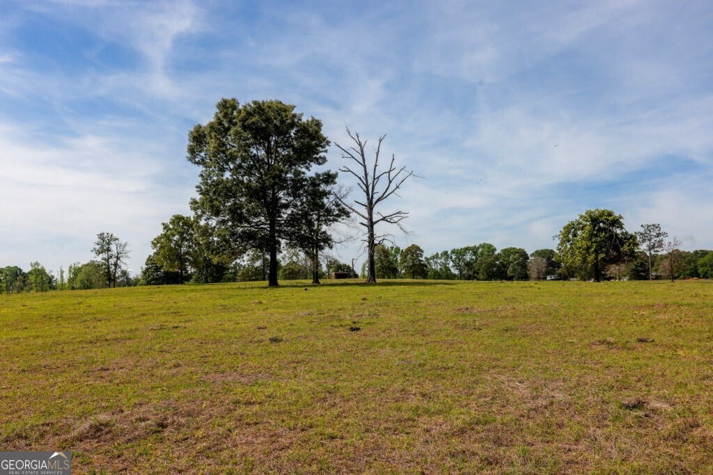 5391 Big Pine Road Garfield, GA 30425 - Photo 47 of 74