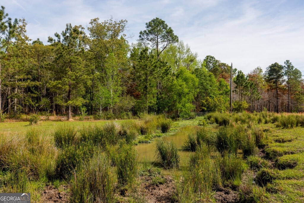 5391 Big Pine Road Garfield, GA 30425 - Photo 48 of 74