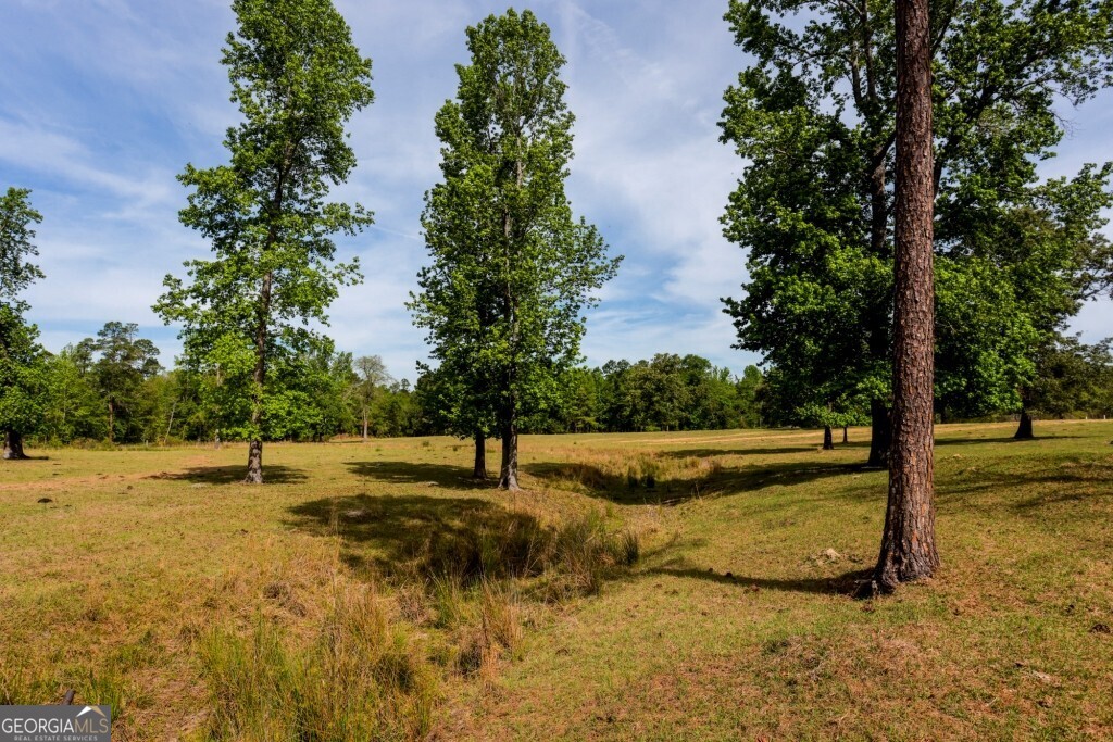 5391 Big Pine Road Garfield, GA 30425 - Photo 50 of 74