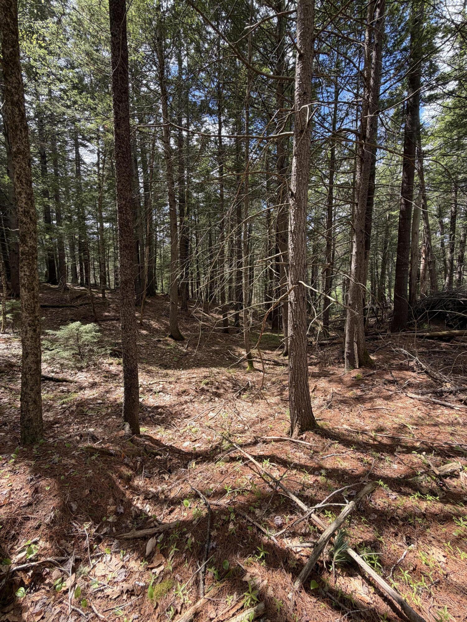 108 B Flying Point Road Freeport, ME 04032 - Photo 10 of 31 IMG_8695