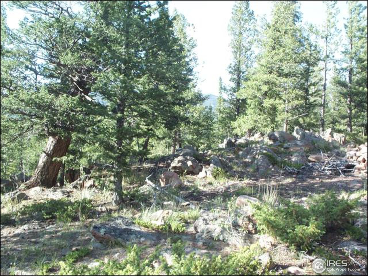 406 Huron Road Red Feather Lakes, CO 80545 - Photo 1 of 15 Gallery Image 1