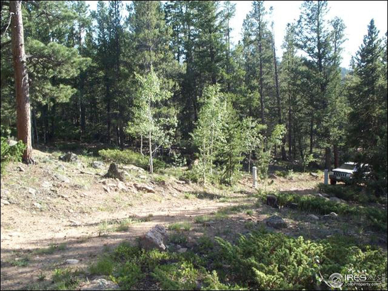 406 Huron Road Red Feather Lakes, CO 80545 - Photo 11 of 15 Gallery Image 11