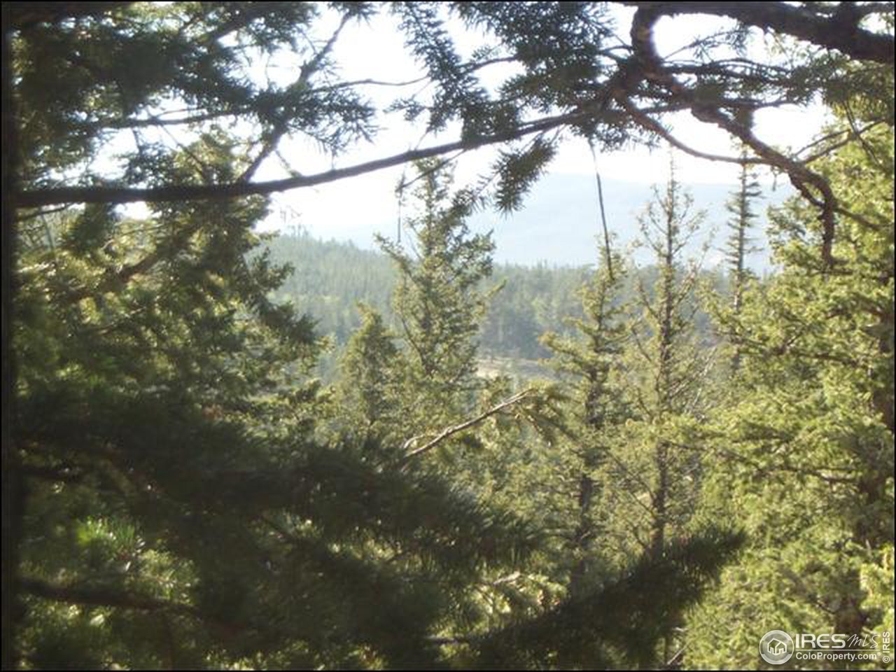 406 Huron Road Red Feather Lakes, CO 80545 - Photo 12 of 15 Gallery Image 12