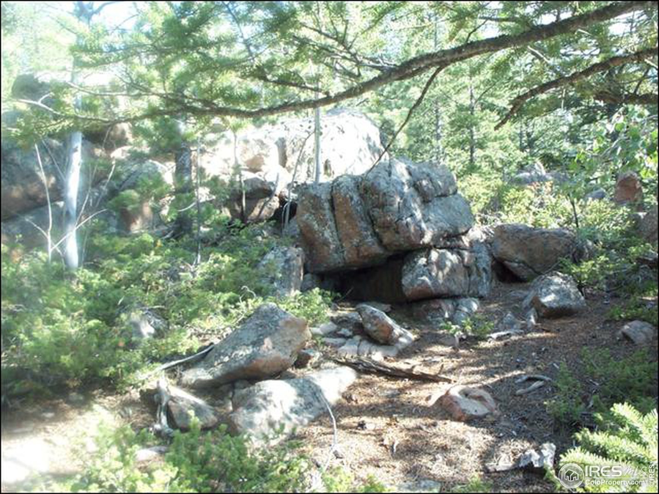 406 Huron Road Red Feather Lakes, CO 80545 - Photo 13 of 15 Gallery Image 13