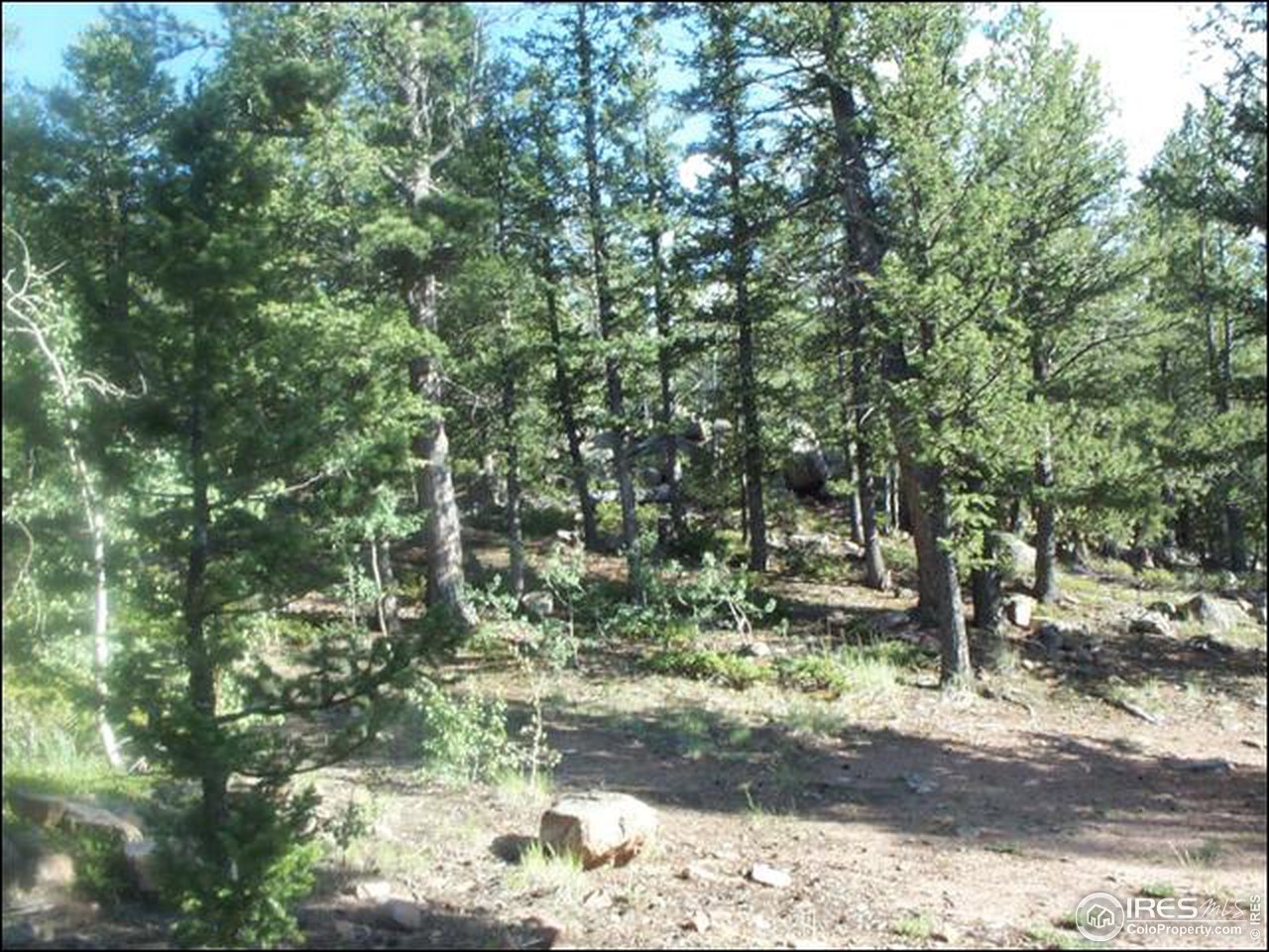 406 Huron Road Red Feather Lakes, CO 80545 - Photo 14 of 15 Gallery Image 14