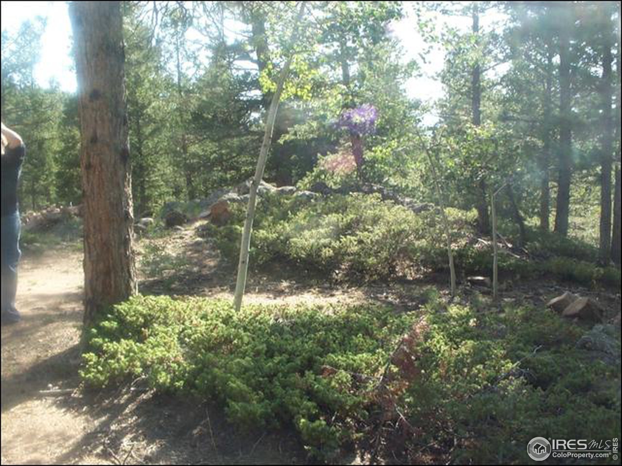 406 Huron Road Red Feather Lakes, CO 80545 - Photo 15 of 15 Gallery Image 15