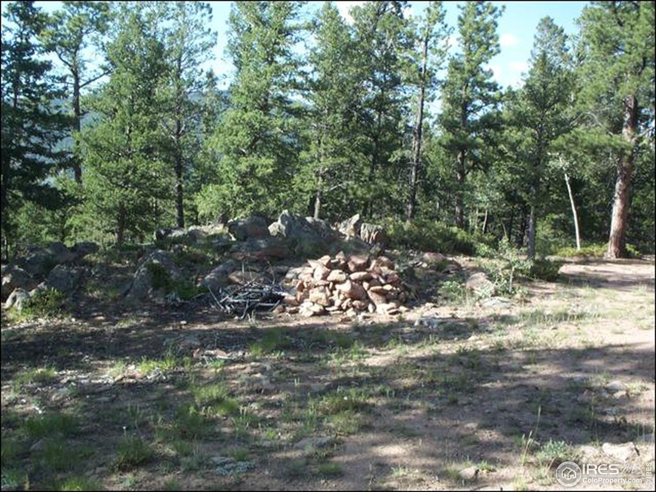 406 Huron Road Red Feather Lakes, CO 80545 - Photo 2 of 15 Gallery Image 2