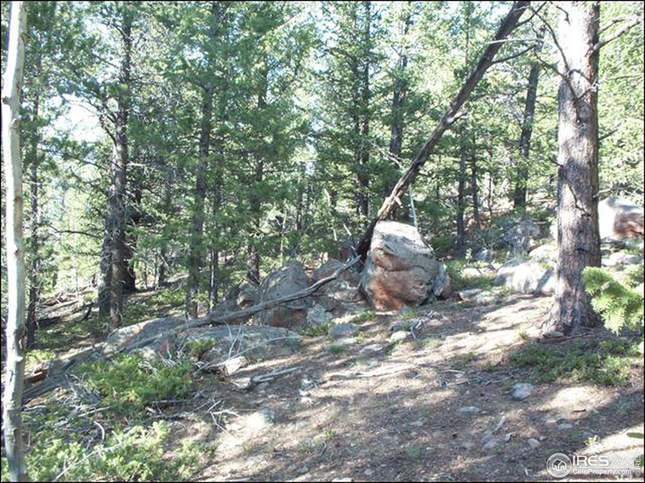 406 Huron Road Red Feather Lakes, CO 80545 - Photo 3 of 15 Gallery Image 3
