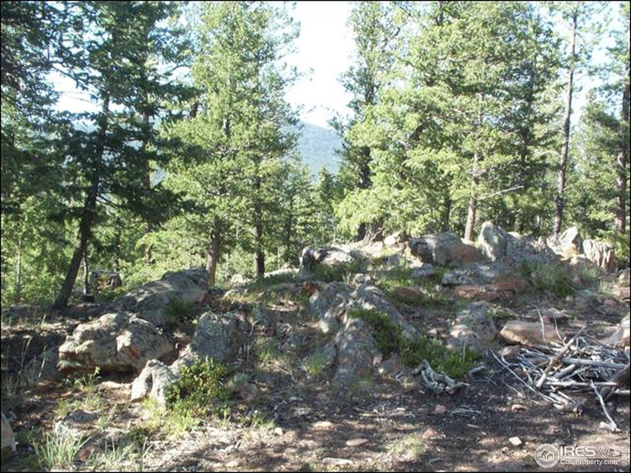 406 Huron Road Red Feather Lakes, CO 80545 - Photo 4 of 15 Gallery Image 4