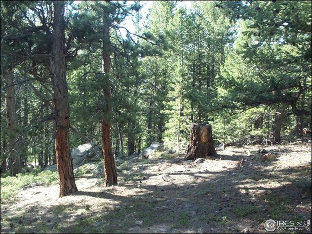 406 Huron Road Red Feather Lakes, CO 80545 - Photo 7 of 15 Gallery Image 7