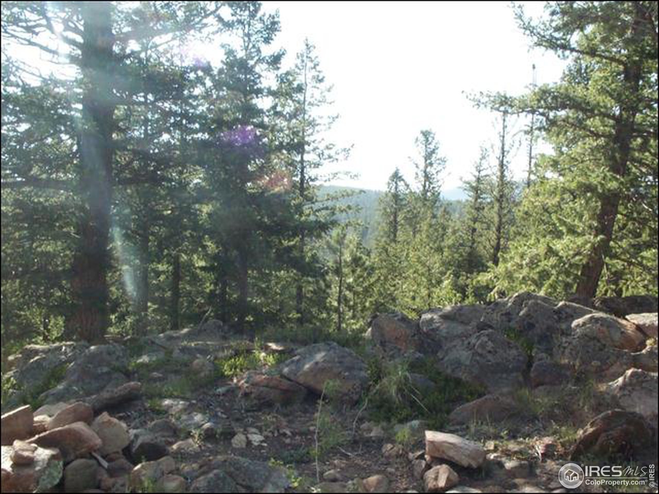 406 Huron Road Red Feather Lakes, CO 80545 - Photo 8 of 15 Gallery Image 8