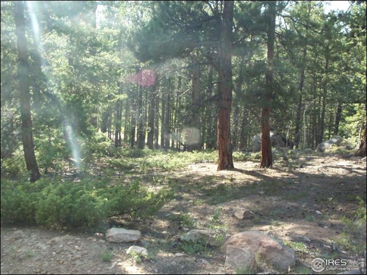406 Huron Road Red Feather Lakes, CO 80545 - Photo 9 of 15 Gallery Image 9
