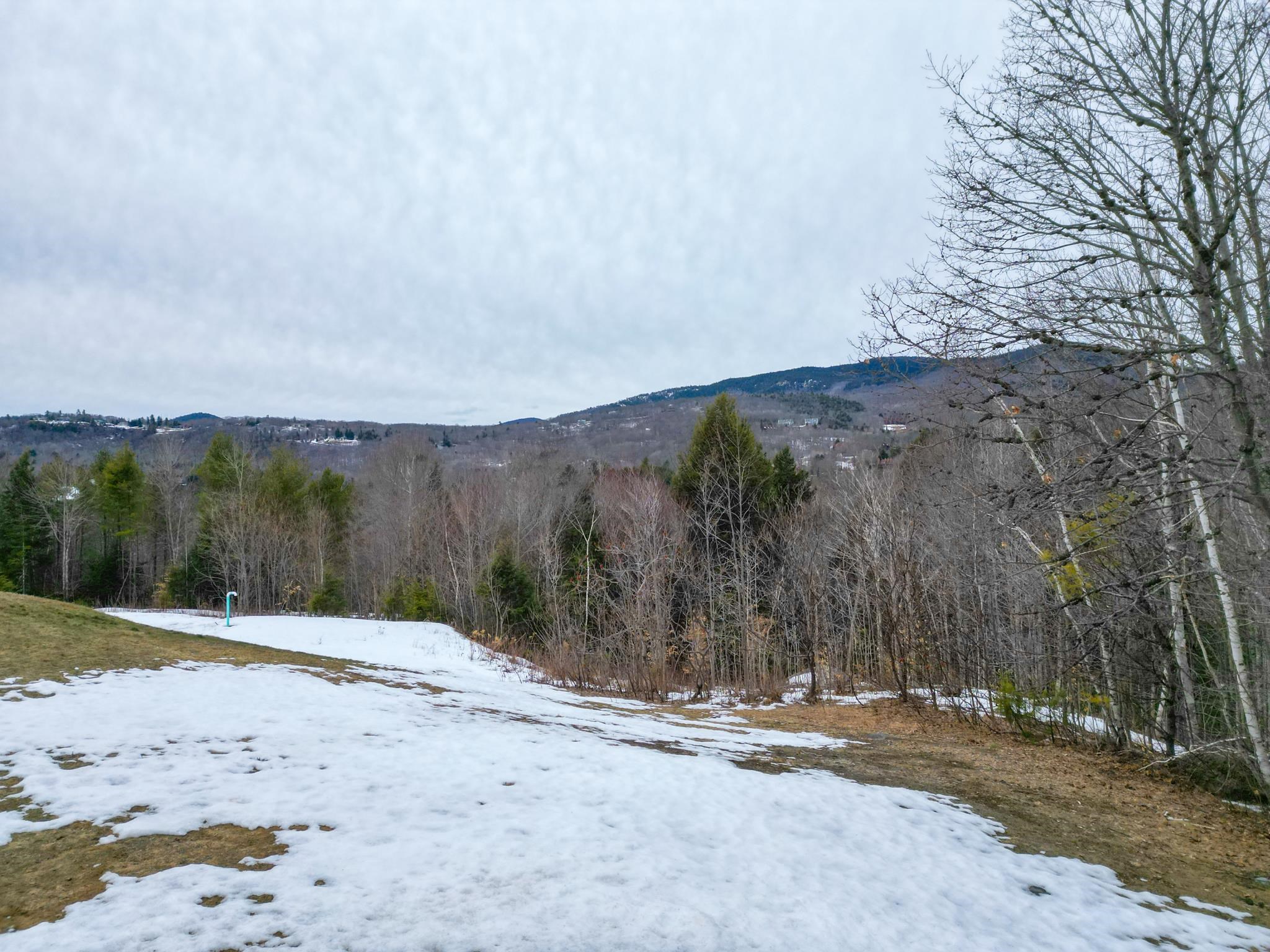 F21 Christmas Mountain Road, Unit F21 Intervale, NH 03845 - Photo 39 of 44