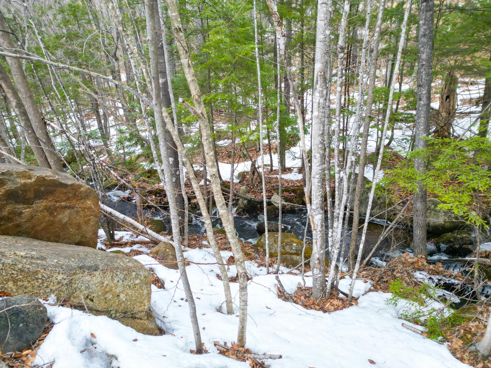 F21 Christmas Mountain Road, Unit F21 Intervale, NH 03845 - Photo 40 of 44