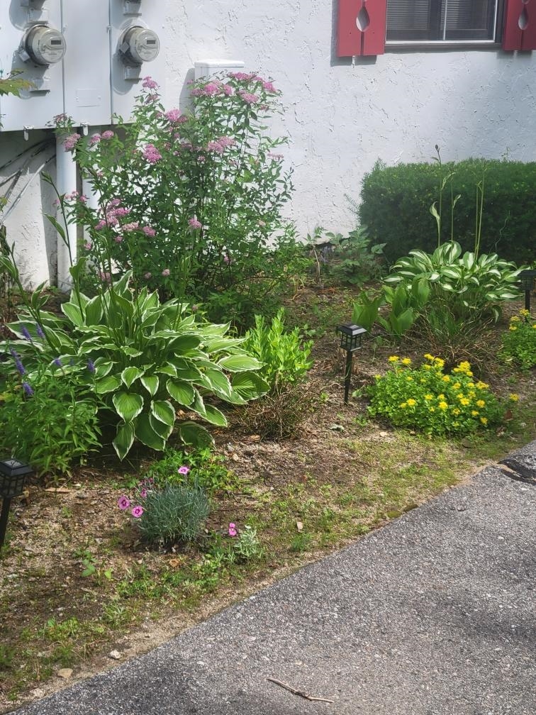 F21 Christmas Mountain Road, Unit F21 Intervale, NH 03845 - Photo 42 of 44