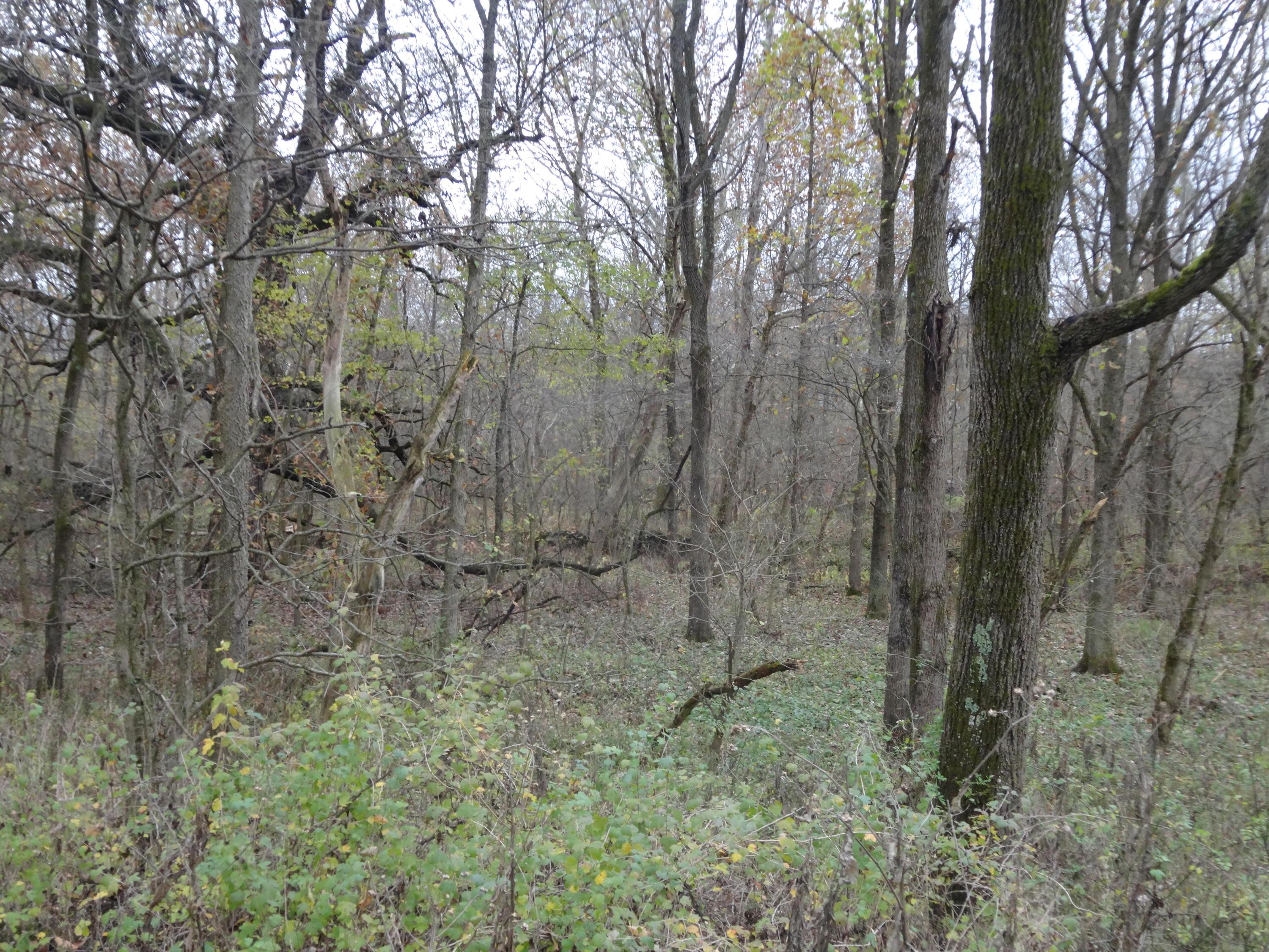 0 Co Road Cardington, OH 43315 - Photo 11 of 16