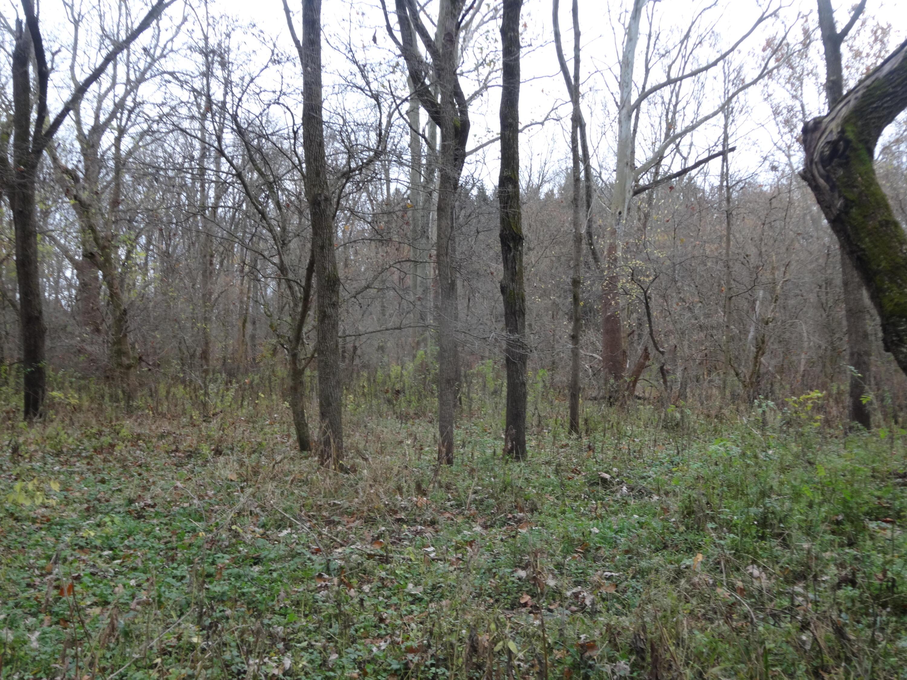 0 Co Road Cardington, OH 43315 - Photo 12 of 16